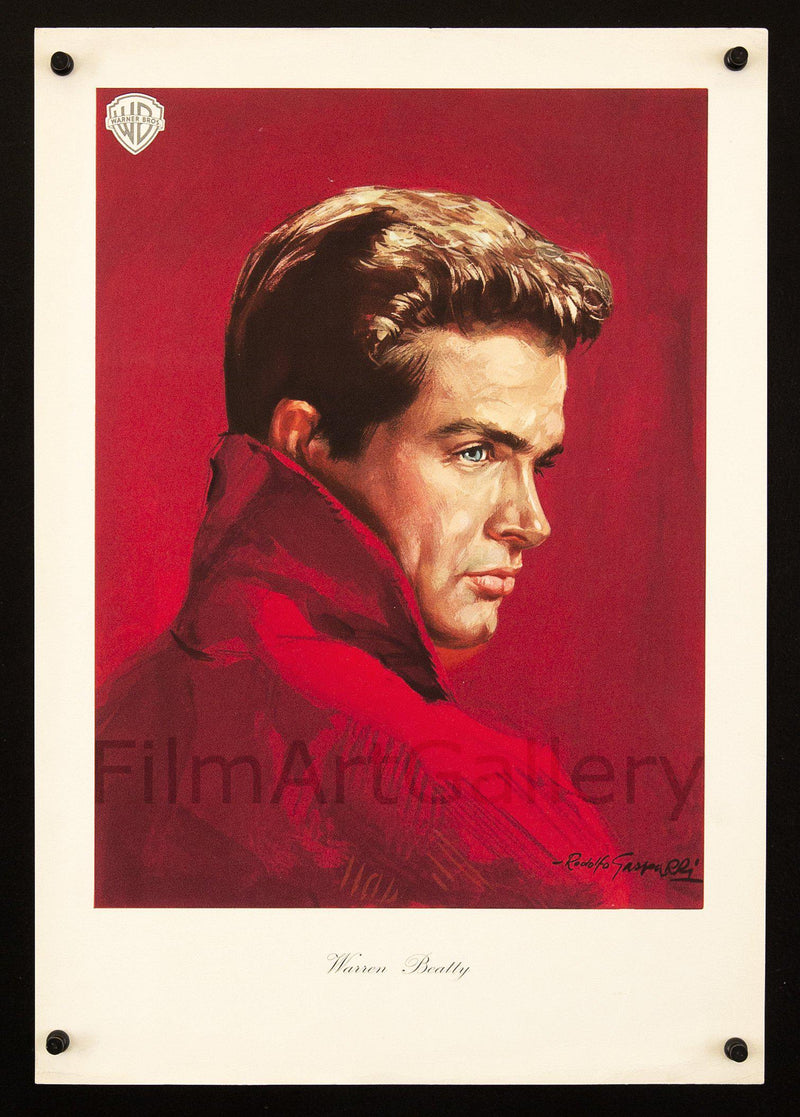 Warren Beatty (Splendor In the Grass) 13x19 Original Vintage Movie Poster