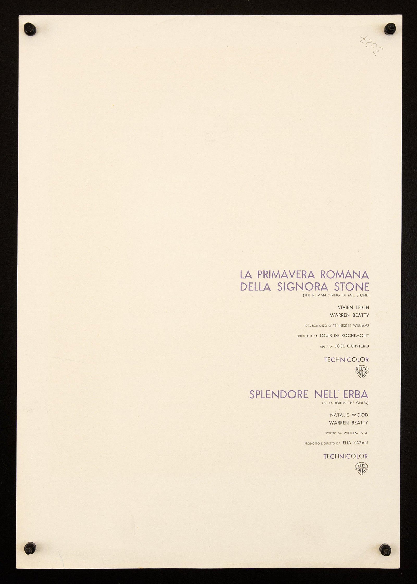 Warren Beatty (Splendor In the Grass) Original Vintage Movie Poster