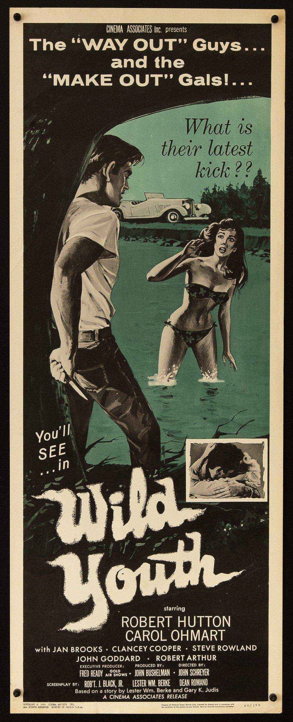 Wild Youth Original Vintage Movie Poster