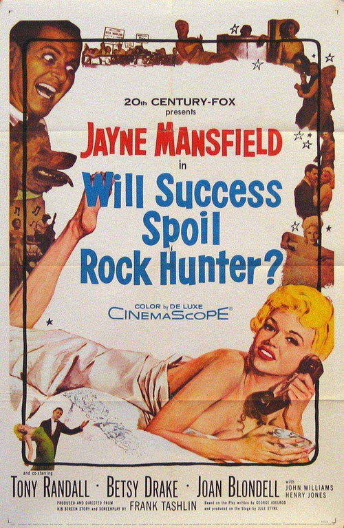 Will Success Spoil Rock Hunter Original Vintage Movie Poster