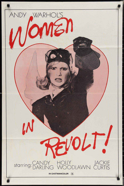 Women in Revolt Original Vintage Movie Poster