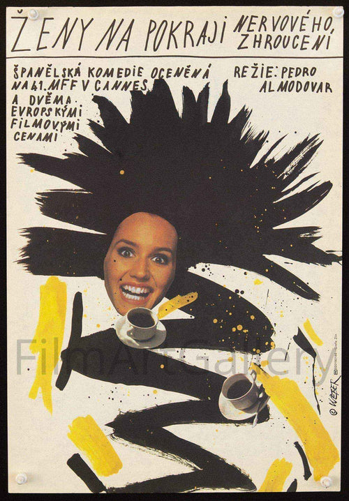 Women on the Verge of a Nervous Breakdown Original Vintage Movie Poster