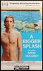 A Bigger Splash Window Card (14x22) Original Vintage Movie Poster