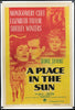 A Place In the Sun 1 Sheet (27x41) Original Vintage Movie Poster