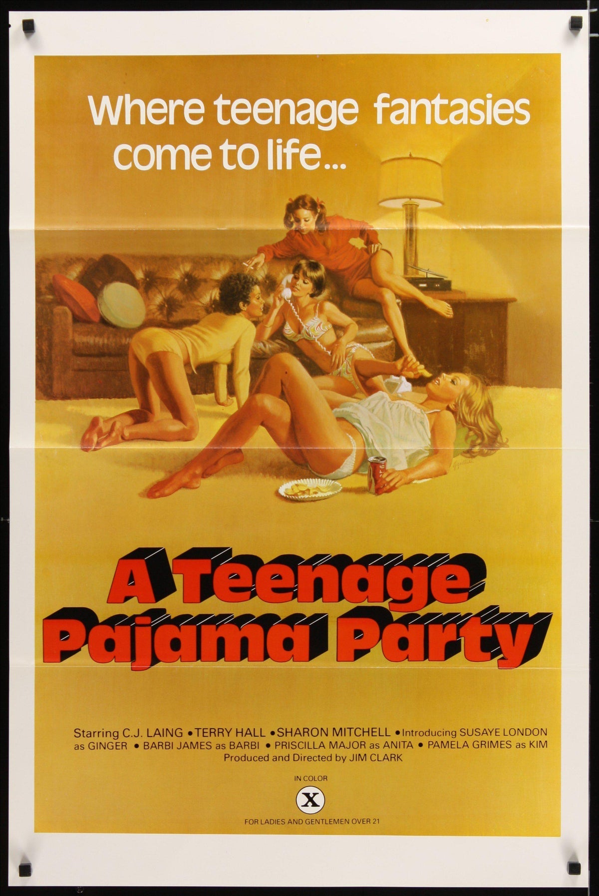 A Teenage Pajama Party 1 Sheet (27x41) Original Vintage Movie Poster