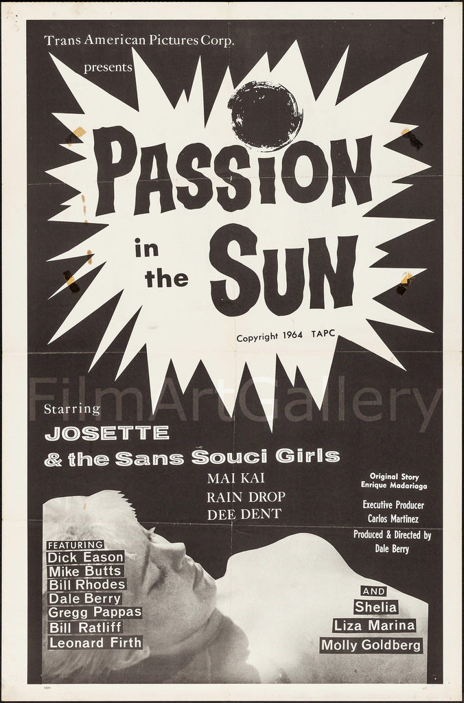 Passion in the Sun 1 Sheet (27x41) Original Vintage Movie Poster