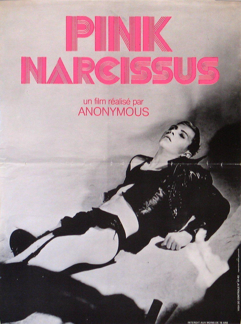 Pink Narcissus French mini (16x23) Original Vintage Movie Poster
