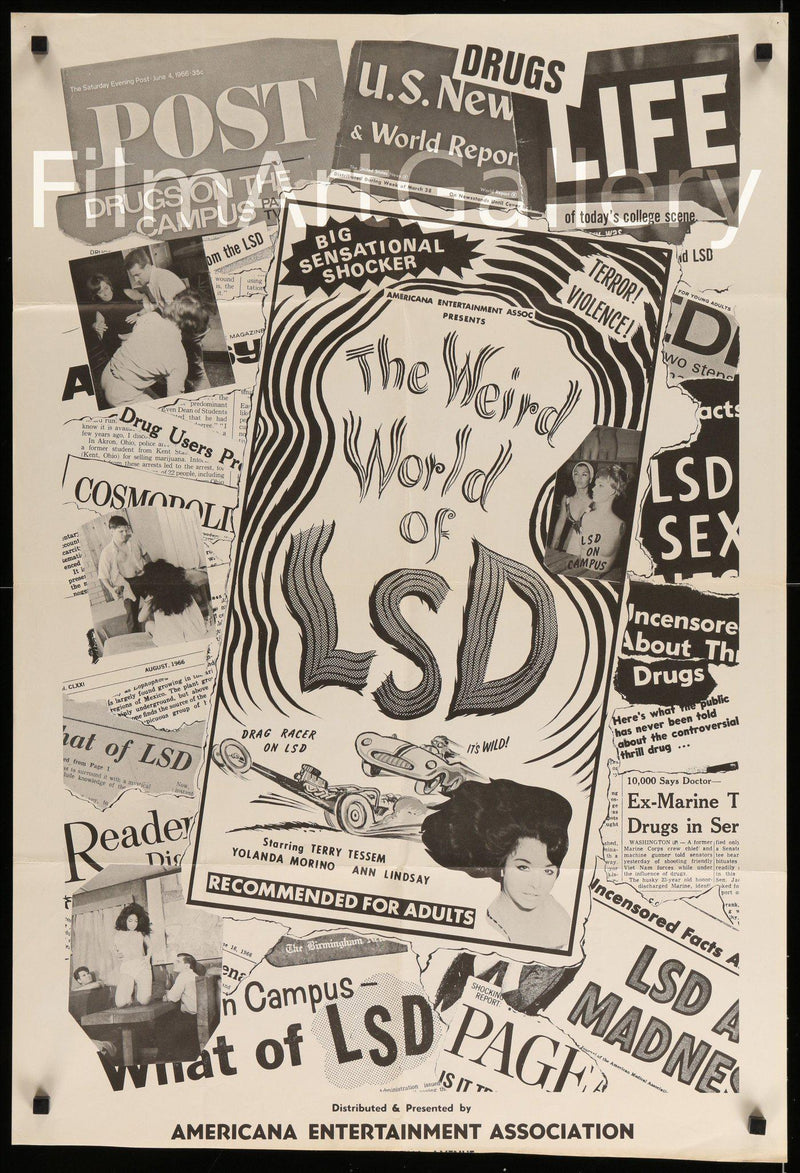 The Weird World of LSD 1 Sheet (27x41) Original Vintage Movie Poster