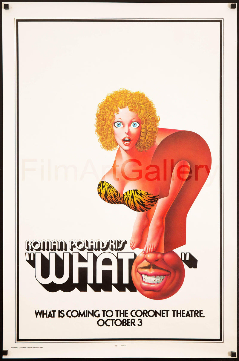 What? 1 Sheet (27x41) Original Vintage Movie Poster